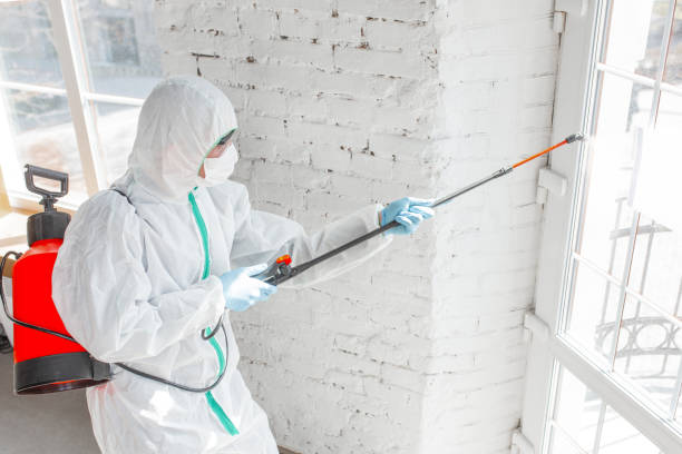 Best Biohazard Mold Removal  in Russell, KY